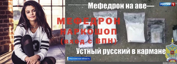 индика Надым