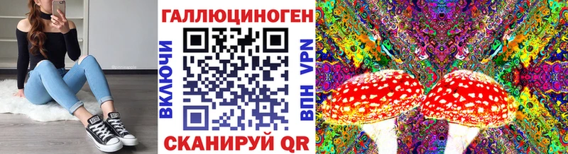 Псилоцибиновые грибы Magic Shrooms  блэк спрут ссылка  Щучье 