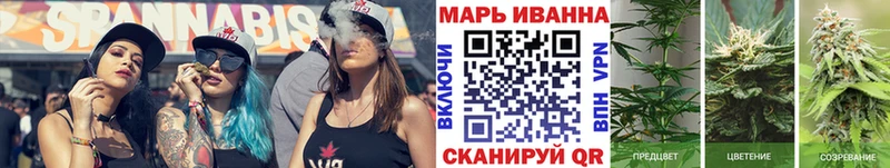 Бошки марихуана OG Kush магазин наркотиков Щучье